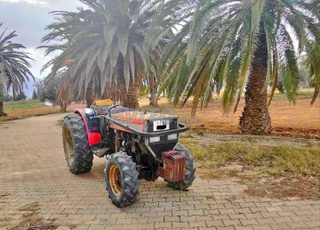 ماسي فيرغسون 374 V