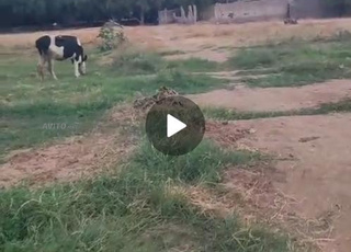 Terrain villa équipé Hamza