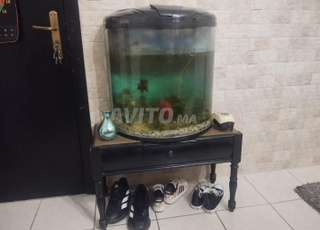 Grand aquarium avec table