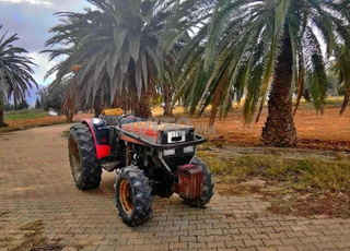 Massey Ferguson 374 V