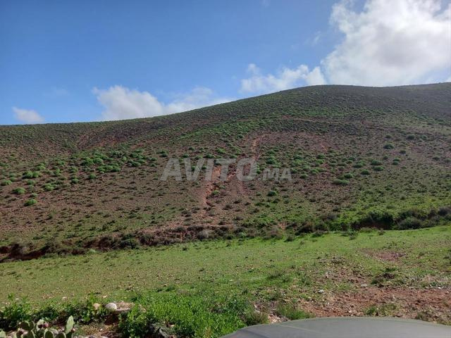 أرض مسجلة للبيع في ميرلفت 440 متر مربع مطلة على البحر