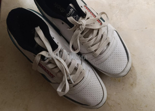 Sbardila original Reebok