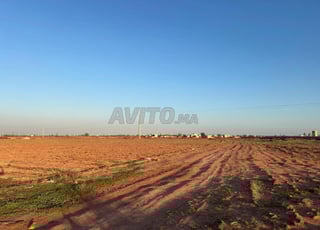 Terrain titré 13000 m2 à Issen