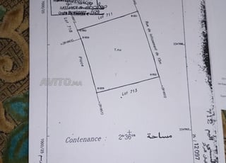 Terrain titré à vendre – Benslimane (lotissement organisé)