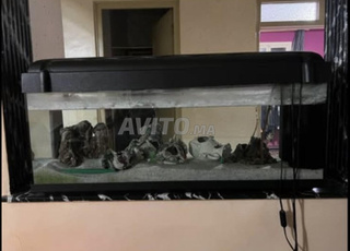 Aquarium 135L et capot 🇮🇹made in italy