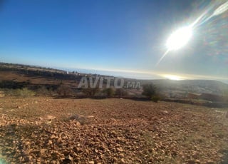 Tiran à vendre à Taghazout Ait Ahmad