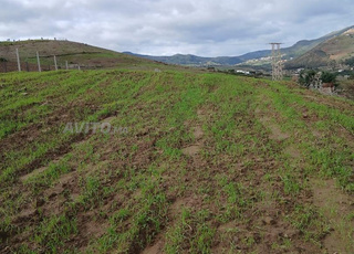 Terrain à vendre près de Tétouan, route de Tanger