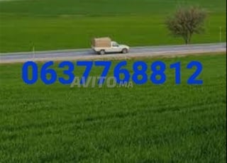 Terrain agricole titré