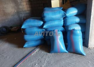 الزنجلان البلدي