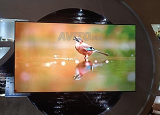 Samsung montage Europa 75 pouces