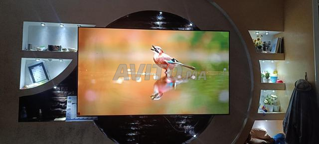 سامسونج مونتاج أوروبا 75 بوصة