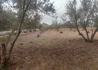 Terrain agricole avec installation pour élevage