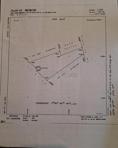 Terrain agricole à Sidi Abdellah Ghiat Chouiter
