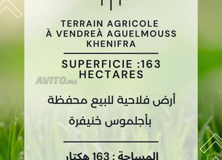 Terrain agricole 163 hectares