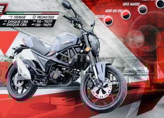 Cimatti Monstre Bobber