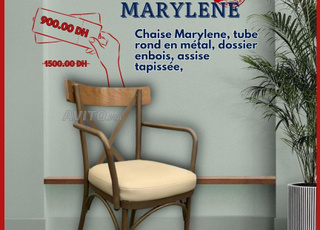 Chaise professionnelle