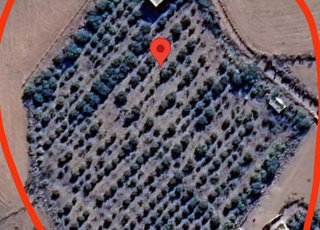 Ferme à vendre à Shoulle