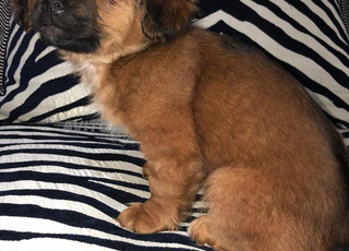 Derb Ahl Tadla, 30013 Fès