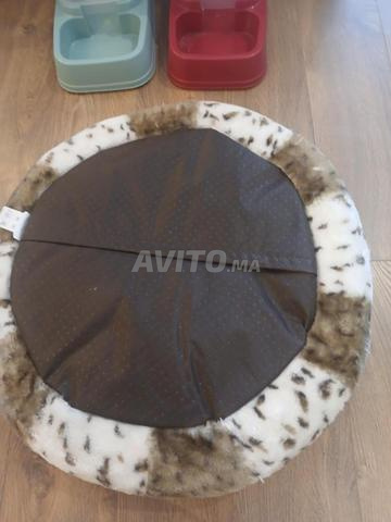 مقالات عش ومشارب