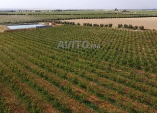 Ferme à vendre sur MEKNES