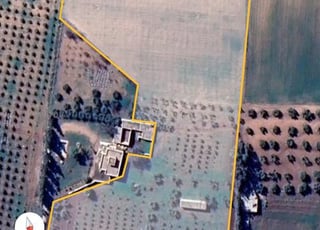 4 hectares à vendre titre contient étable et 400 oliviers