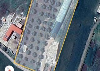 هكتار للبيع فيه كوري دجاج