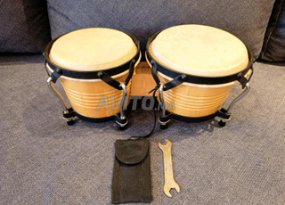 bongos stagge