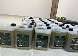 Huile d'olive de montagne de très haute qualité (extra vierge)