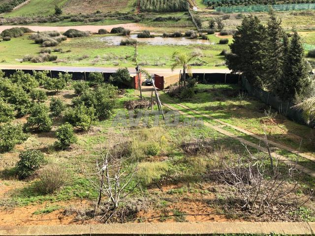 مزرعة غير مسجلة jmou3 Soulaliya بمساحة 11000 متر مربع في Zhana