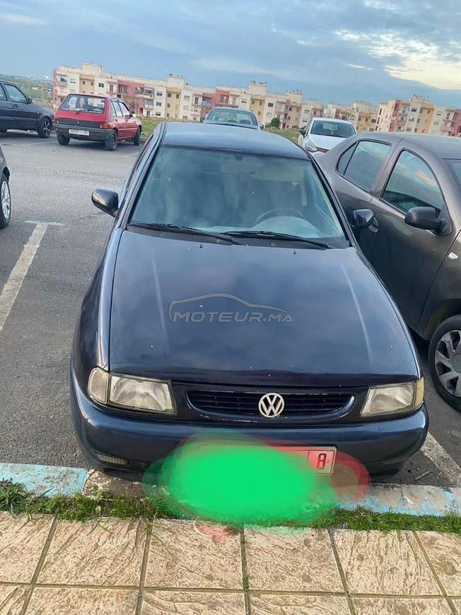 ݣولف بولو مازوط للبيع ناضية