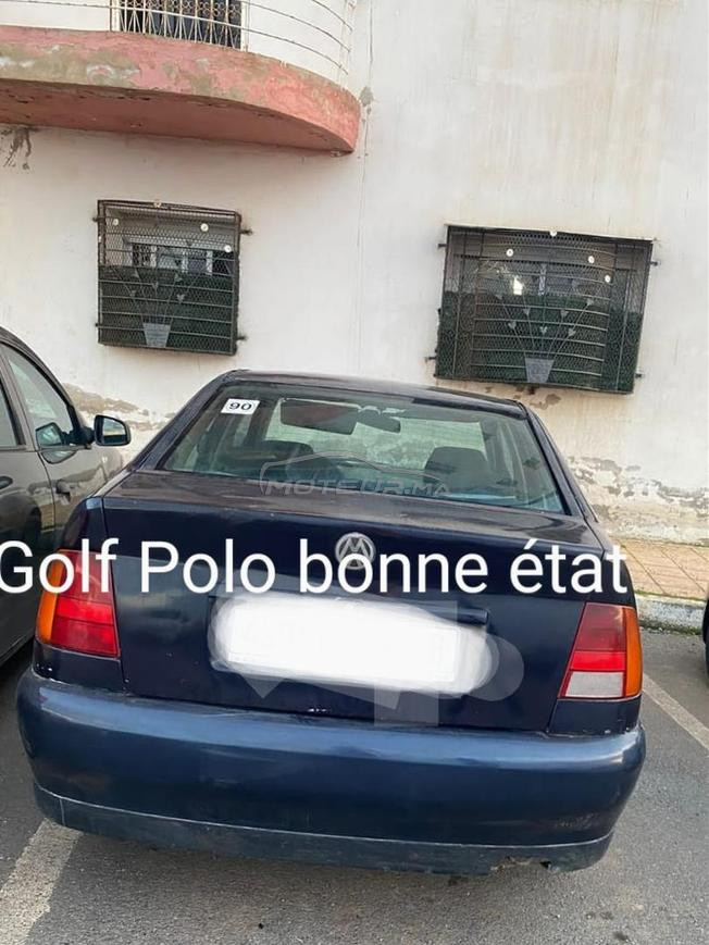 ݣولف بولو مازوط للبيع ناضية