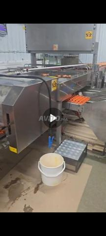 تعبئة وتغليف البيض Staalkat SX40