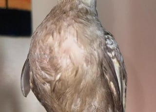 Une occasion unique 😊