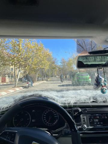 سيات ليون حزمة كوبرا