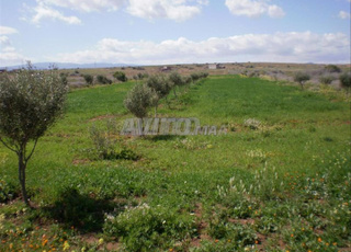 Terrain à vendre, propriété idéale