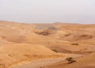 Terrain de 7 hectares titré à Agafay