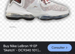 espdrille baskets nike le brun 19