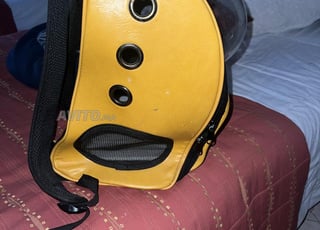 Sac à dos et coussin pour chat et petit chien