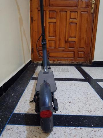 تختينة باقي نقية قابل ليل نقاش - 2