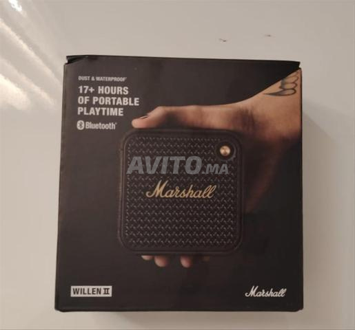 Marshall Willen II أسود