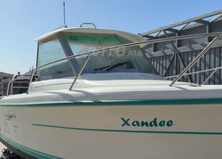 Ocqueteau 5.75 - 2004