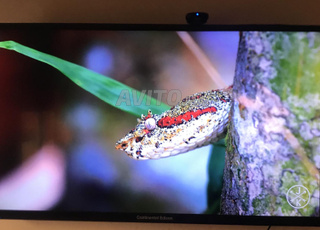 Continental Edison 65