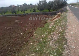 أرض للبيع في مسكالة