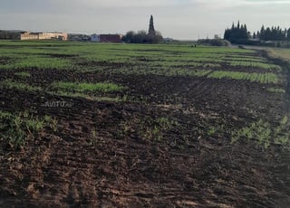 Terrain agricole titré avec permis de construire