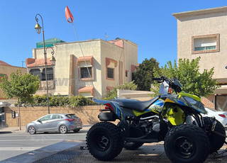 Quad Polaris outlaw 110 avalanche