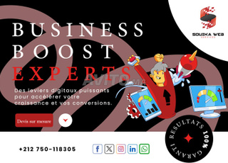 Site Web Pro et seo souika web