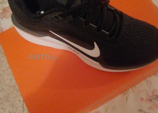 Nike winflo 43