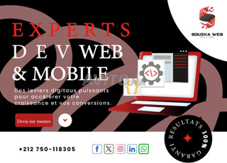 Création de site web professionnel Souika Web