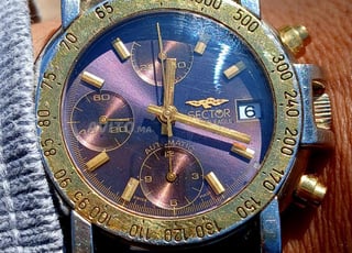 Sector Golden Eagle Chronograph Automatic