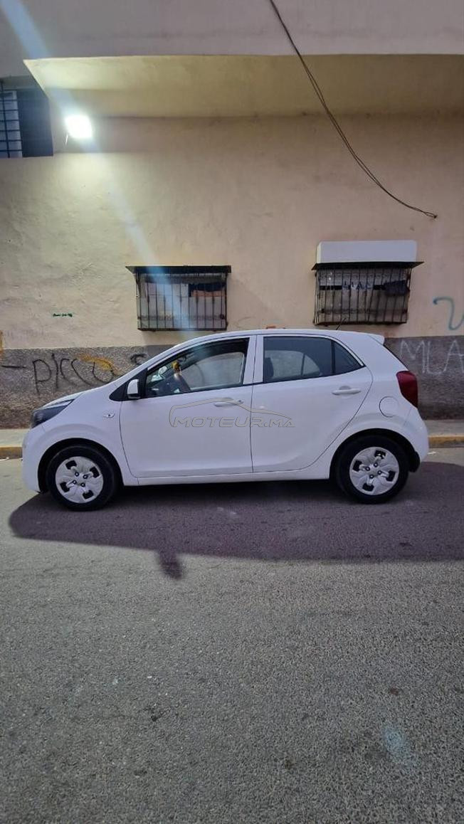 kia Picanto 